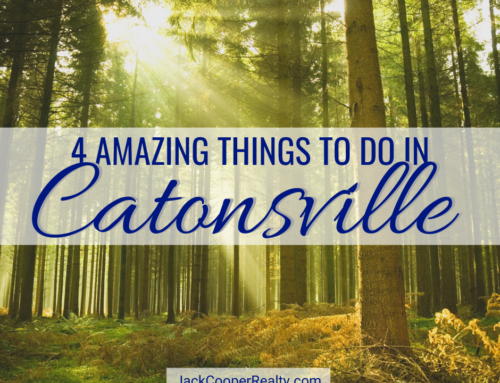 4 Fun Things to Do in Catonsville, MD: Outdoor Adventures Perfect for Spring