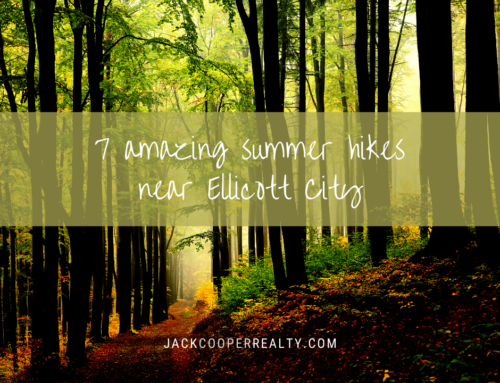 7 of the Best Summer Hikes Near Ellicott City