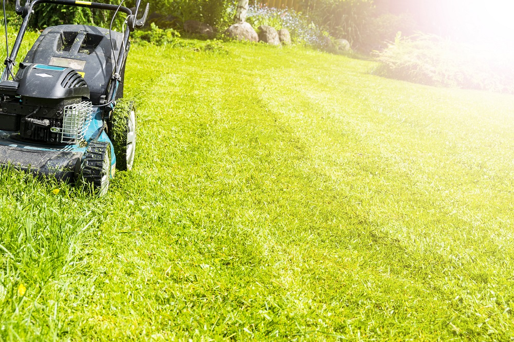 Summer Curb Appeal Tips - Clean Up the Yard