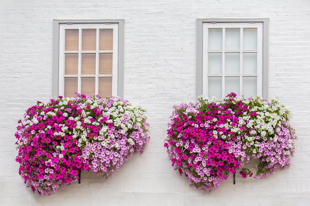 7-Quick-and-Easy-Curb-Appeal-Tips-You-Can-Use-to-Sell-Your-Home-FAST-put-up-a-window-box-or-two