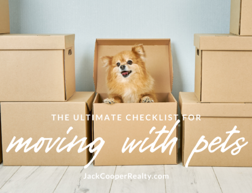 Checklist for Moving With Pets