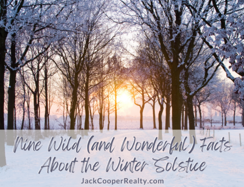 9 Wild (and Wonderful) Facts About the Winter Solstice