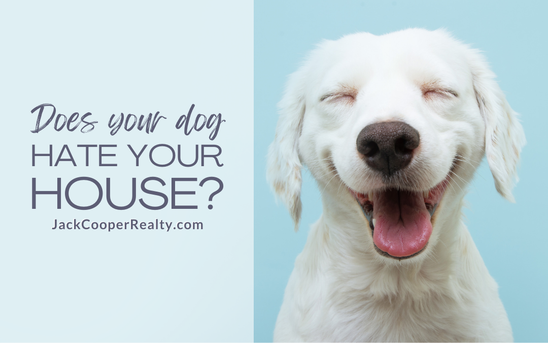 Does Your Dog Hate Your House - Real Estate in Baltimore County and Howard County